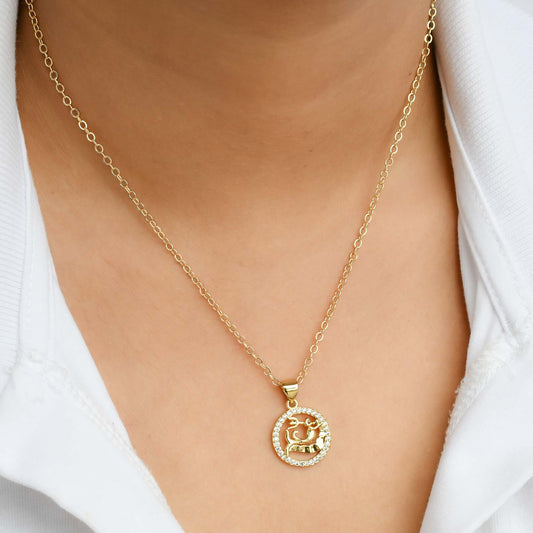 Aquarius_zodiac chain