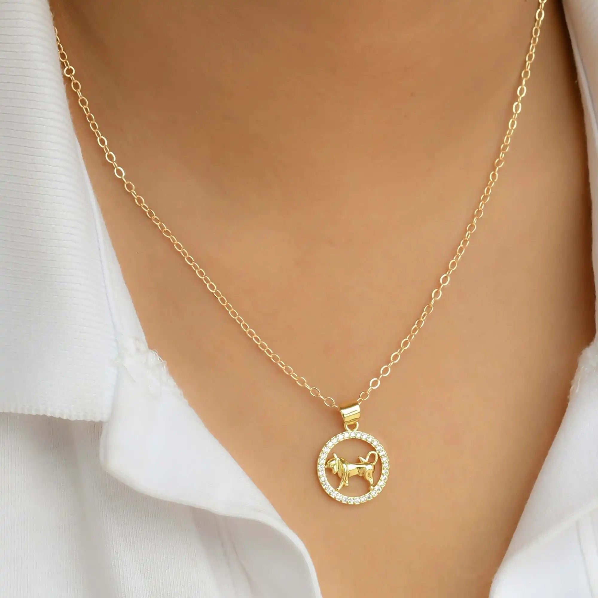 Zodiac Pendant Chain